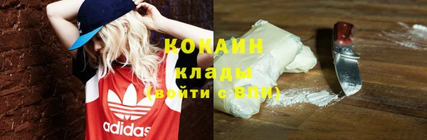 твердый Вязьма