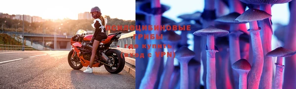 mdpv Вязники